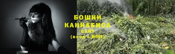индика Пролетарск