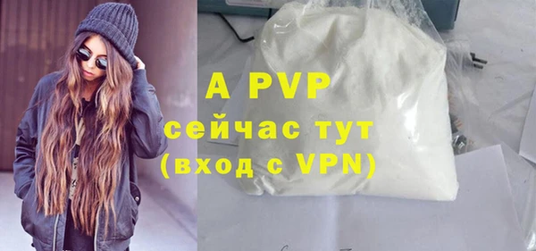 шишки Арсеньев
