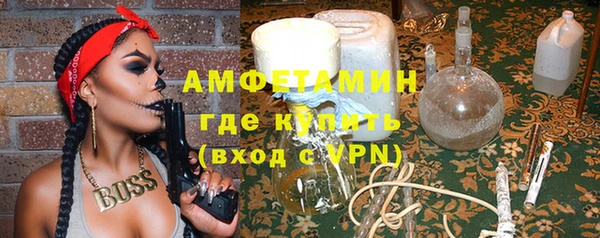 шишки Арсеньев