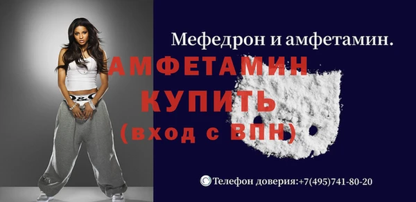 шишки Арсеньев