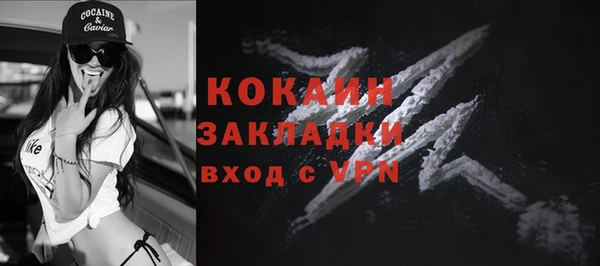 твердый Аркадак