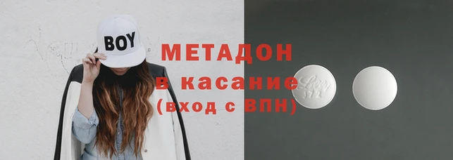 шишки Арсеньев