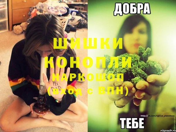 твердый Аркадак