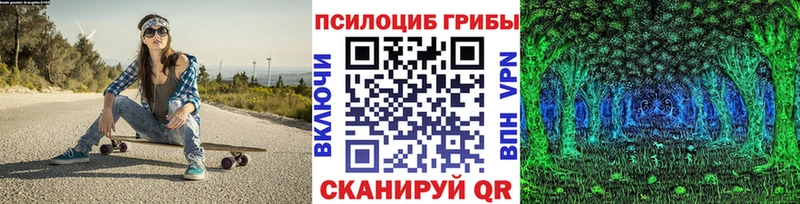Псилоцибиновые грибы Psilocybe  гидра сайт  Обоянь 